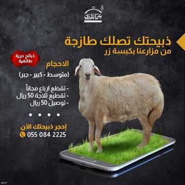 عروض مطعم سما بلدي الأربعاء 7 يوليو 2021 مـ الموافق 27 ذي القعدة 1442 هـ 5 مطعم سما بلدي