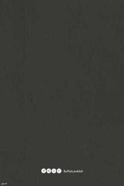 5245309134