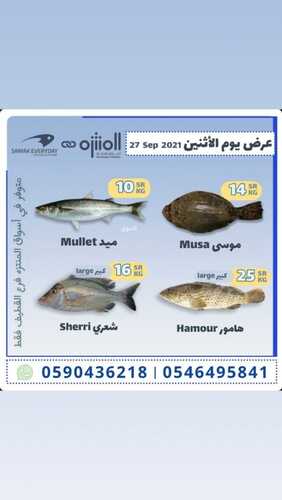 عروض أسواق المنتزه اليوم 27 سبتمبر 2021 الموافق 20 صفر 1443 عروض الاثنين الطازج 8 6529127047