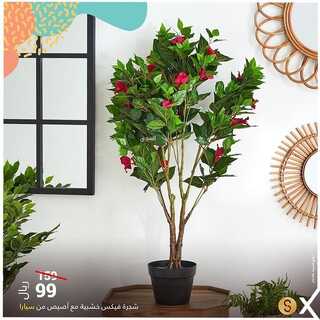 عروض هوم بوكس اليوم 26 اكتوبر 2021 الموافق 20 ربيع الاول 1443 5 3564597197