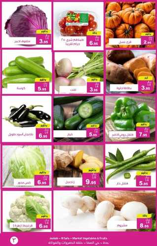 عروض حصاد البساتين اليوم 8 يناير 2022 الموافق 5 جمادى الأخر 1443 حنا .....الأوفر 7 399416468
