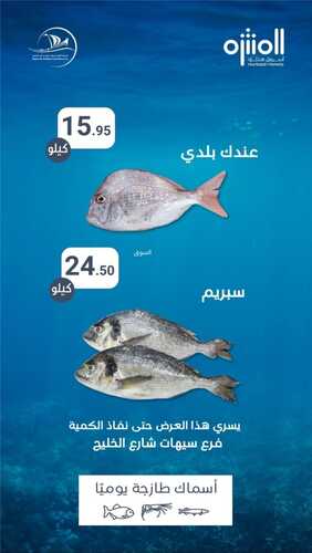 عروض أسواق المنتزه اليوم 20 مايو 2022 الموافق 19 شوال 1443 مهرجان الأسماك الطازجة 2 8309648406