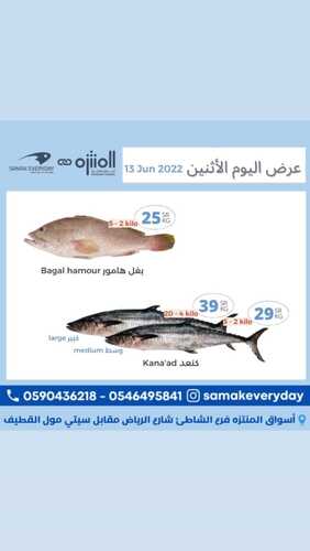 عروض أسواق المنتزه اليوم 13 يونيو 2022 الموافق 14 ذو القعدة 1443 عروض الاثنين الطازج 4 6466735227