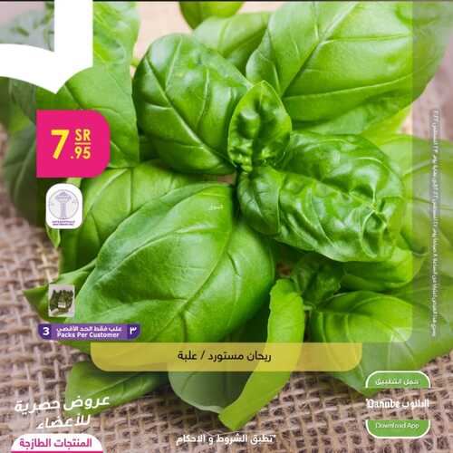 عروض الدانوب المنطقة الغربية اليوم 21 أغسطس 2022 الموافق 23 محرم 1444 عروض المنتجات الطازجة 5 3026278352