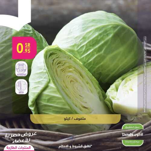 عروض الدانوب المنطقة الشرقية اليوم 28 أغسطس 2022 الموافق 1 صفر 1444 عروض المنتجات الطازجة 3 3364688191