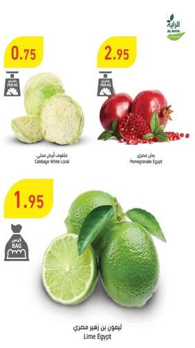عروض الراية اليوم 28 أغسطس 2022 الموافق 1 صفر 1444 عروض الأحد & الاثنين 9 4654725864