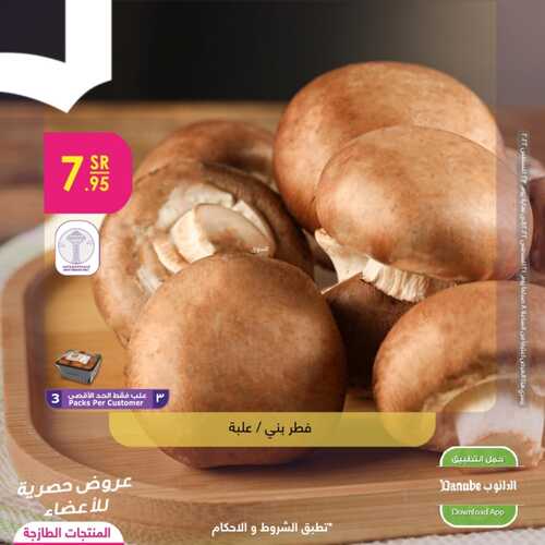 عروض الدانوب المنطقة الغربية اليوم 21 أغسطس 2022 الموافق 23 محرم 1444 عروض المنتجات الطازجة 4 718058245