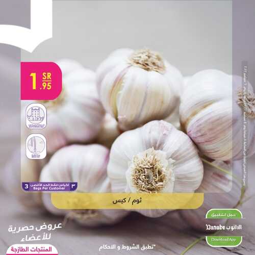 5997037216