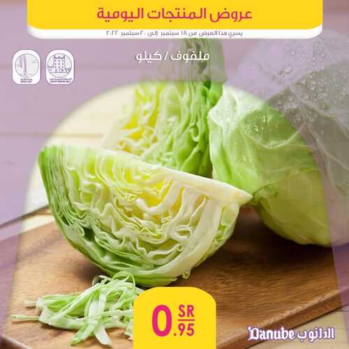 عروض الدانوب جميع الفروع اليوم 18-9-2022 الموافق 22 صفر 1444 عروض المنتجات الطازجة ل 3 أيام 4 8415601961