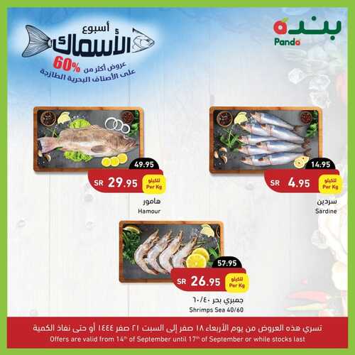 عروض بنده اليوم 14.9.2022 الموافق 18 صفر 1444 مهرجان الأسماك & الأسبوع الأخير من موسم بنده 8 8947997059