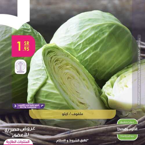 عروض الدانوب جميع الفروع اليوم 9-10-2022 الموافق 13 ربيع الأول 1444 عروض المنتجات الطازجة ل 3 أيام 4 9862796570