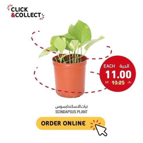 عروض التميمي اليوم 11/11/2022 الموافق 17/4/1444 عروض الجمعة فقط 4 1421207623