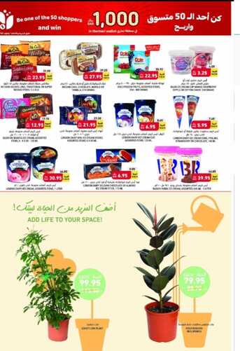 عروض التميمي المدينة المنورة الأسبوعية 30 نوفمبر 2022 الموافق 6 جمادى الاولى 1444 6 عروض التميمي