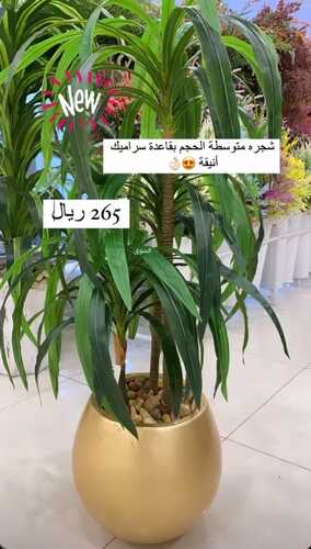 عروض الهدايا سنتر اليوم 6 فبراير 2023 الموافق 15 رجب 1444 فخامة وجودة لا متناهية 3 8324761453