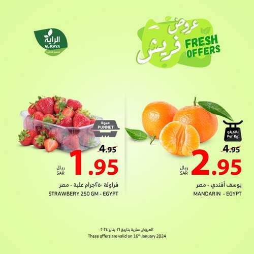 عروض الراية الثلاثاء 16-1-2024 الموافق 4 رجب 1445 عروض فريش 6 4759996590