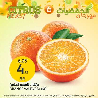 عروض أسواق الجزيرة ليومي الاثنين والثلاثاء 22-23 يناير 2024 مهرجان الحمضيات 8 9462067249