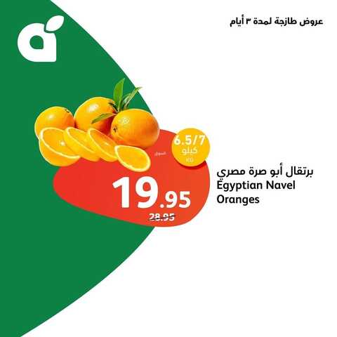 عروض بنده مهرجان اللحوم من 11 فبراير وحتى 13 فبراير 2024 أجود أنواع اللحوم الطازجة والمجمدة 16 6209345219