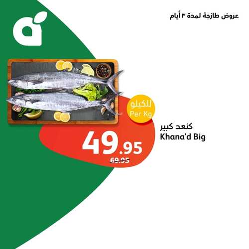 عروض رمضان بلس : عروض بنده لهذا الاسبوع 26-2-2024 الموافق 16-8-1445 11 645922370