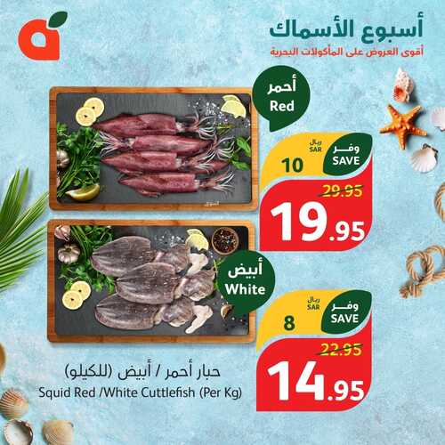 مهرجان الأسماك من بنده اليوم 1-3-2024 الموافق 21-8-1445 توفير شهر الخير 4 2054763890