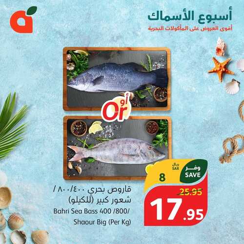 مهرجان الأسماك من بنده اليوم 1-3-2024 الموافق 21-8-1445 توفير شهر الخير 5 3316113859