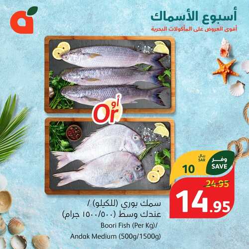 مهرجان الأسماك من بنده اليوم 1-3-2024 الموافق 21-8-1445 توفير شهر الخير 3 4418759683