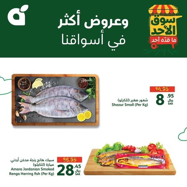 عروض بنده اليوم بصفحة واحدة 27 أكتوبر 2024 الموافق 24 ربيع الآخر 1446 سوق الأحد ماقّده أحد 12 8808194745