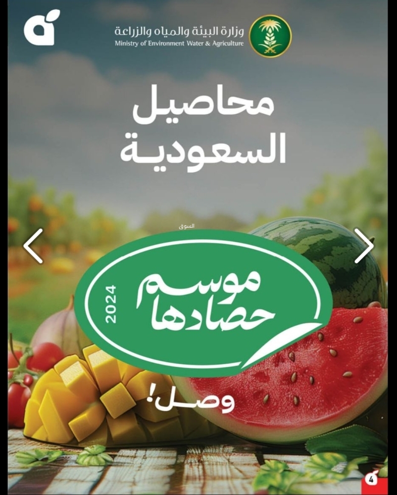 عروض بنده الأسبوعية 12 مارس 2025 الموافق 12 رمضان 1446 مقاضي رمضان معك تفرق 6 9162105435
