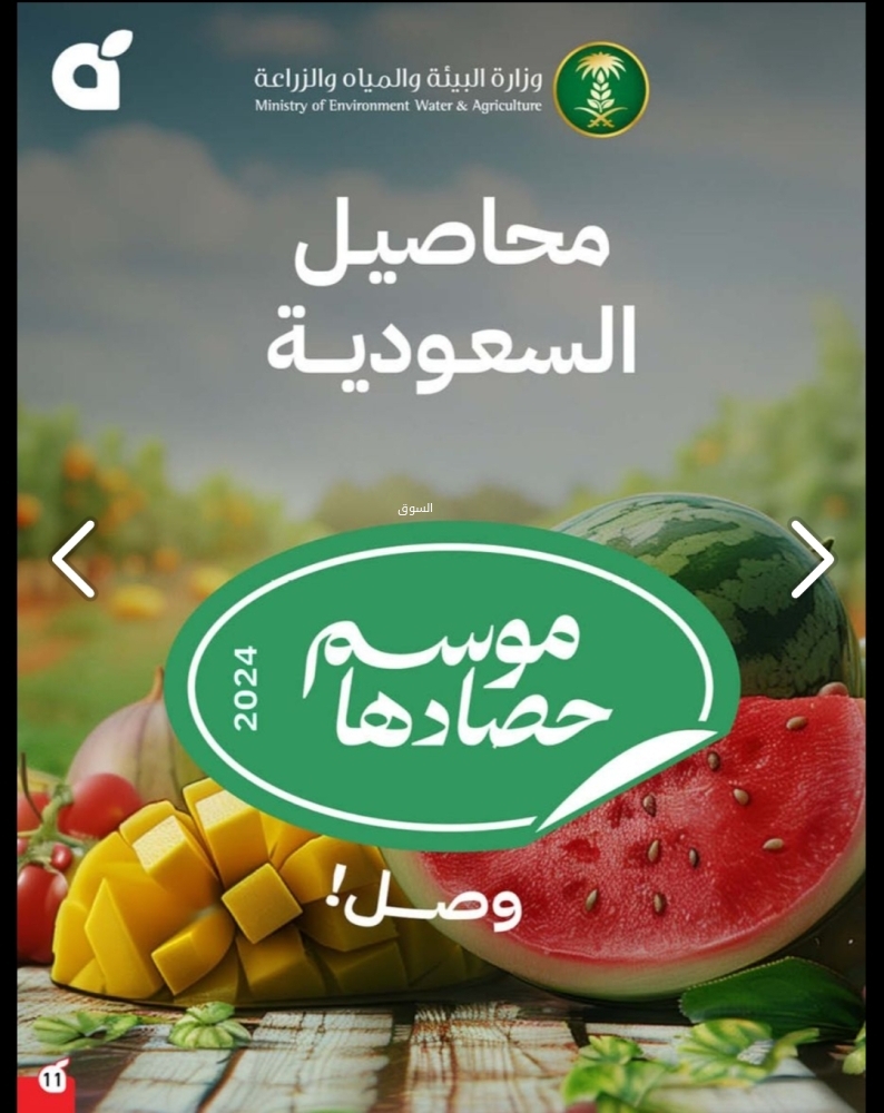 906533691
