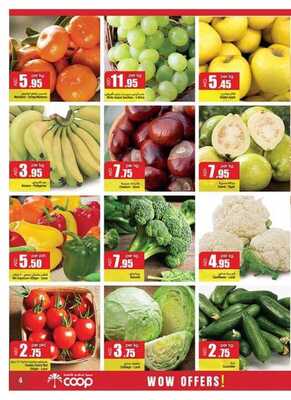 عروض جمعية ابوظبي