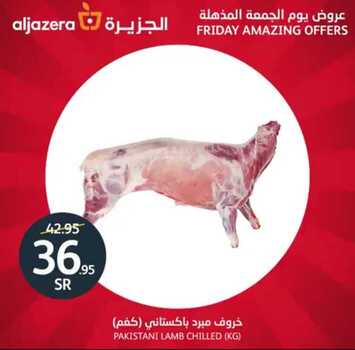 عروض أسواق الجزيرة الخاصة 21 يونيو 2019 الموافق 18 شوال 1440 عروض الجمعة المذهلة 5 8998685453