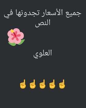 فيلوتشي تبوك