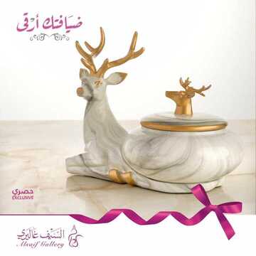عروض السيف غاليري اليوم 2 نوفمبر 2019 الموافق 5 ربيع الاول 1441 5 9140875035