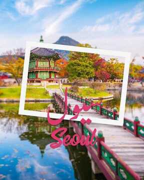 عروض طيران ناس اليوم 20 ديسمبر 2019 الموافق23 ربيع الاخر 1441عروض خطوط الطيران المميزة 6 2434417721
