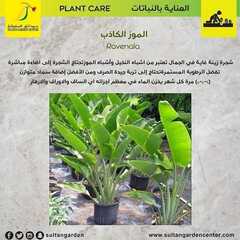 عروض حدائق السلطان اليوم 23 ديسمبر 2019 الموافق 26 ربيع الاخر 1441 12 3191330189