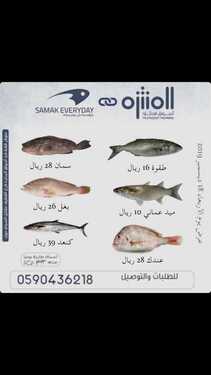 9506635229