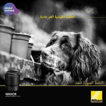 عروض احمد عبد الواحد الاسبوعية اليوم 23 يناير 2020 الموافق 28 جمادى الاولى 1441 7 5768336805