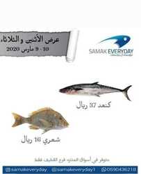 عروض المنتره اليوم 9 مارس 2020 الموافق 14 رجب 1441 مهرجان الاسماك 2 563821891