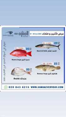 عروض أسواق المنتزه اليوم 21 يونيو 2021 الموافق 11 ذو القعدة 1442 عروض الاثنين والثلاثاء الطازج 4 2774380766