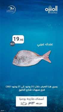 عروض أسواق المنتزه اليوم 21 يونيو 2021 الموافق 11 ذو القعدة 1442 عروض الاثنين والثلاثاء الطازج 5 3058097185