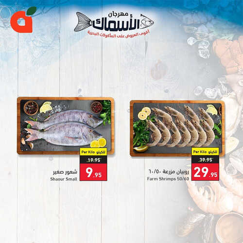 عروض بنده اليوم 26.5.2023 الموافق 6.11.1444 مهرجان المأكولات البحرية 4 كذلك عروض بنده