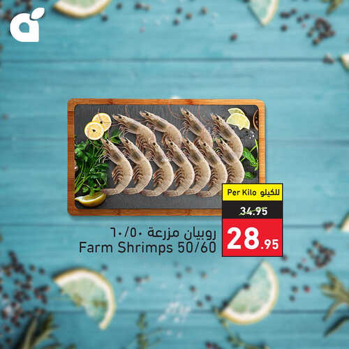 عروض بنده اليوم 28.7.2023 الموافق 10 محرم 1445 مهرجان الأسماك الطازجة 6 4391074844