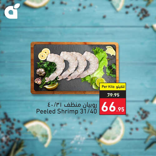 عروض بنده اليوم 28.7.2023 الموافق 10 محرم 1445 مهرجان الأسماك الطازجة 7 9962901709