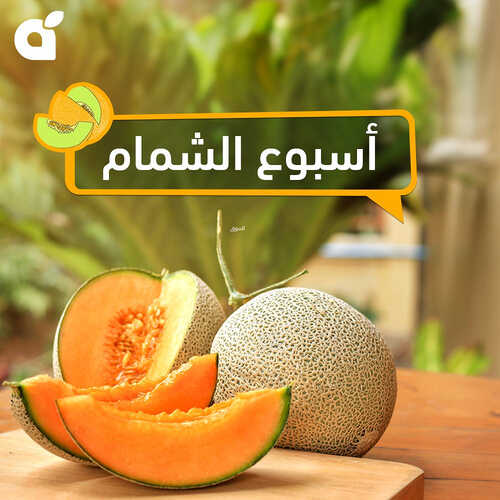 عروض بنده الاثنين 14/8/2023 الموافق 27 محرم 1445 مقاضي منعشة ل 3 أيام 2 كذلك عروض بنده