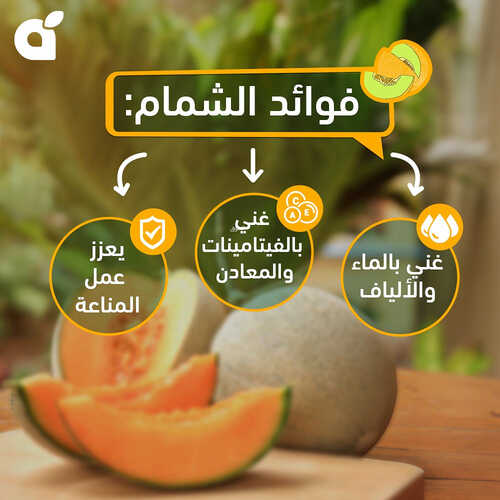 عروض بنده الاثنين 14/8/2023 الموافق 27 محرم 1445 مقاضي منعشة ل 3 أيام 3 كذلك عروض بنده