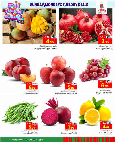 عروض نستو الرياض اليوم 3 سبتمبر 2023 الموافق 18 صفر 1445 عروض ال 3 أيام الطازجة 3 5193037220