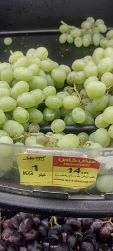 عروض بنده أسعار الخضار الطازجة في بنده اليوم حصريآ بتاريخ 25-9-2023 الموافق 10 ربيع الأول 1445 9 8698428496