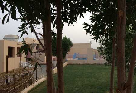استراحة الزهور