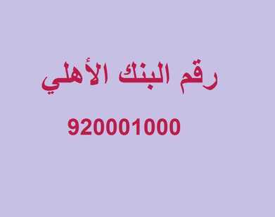 عدد عروض البنك الوطني السعودي اليوم