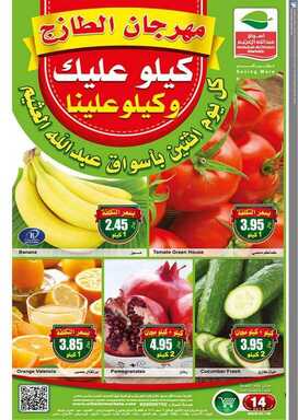 othhhhh نسخ