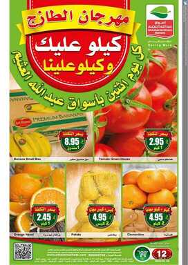 otoo نسخ